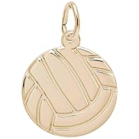 Rembrandt Charms Volleyball Charm