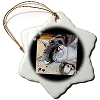 3dRose Cute Sleepy Paw Grey and White Tabby Cat Lovers Photo - Ornaments (orn-242434-1)