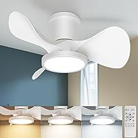 slochi Quiet Ceiling Fan with Lights, 22 inch Remote Control Ceiling Fan Adjustable Color Temperature Flush Mount Ceiling Fan for Kitchen Bedroom Dining room Patio,White
