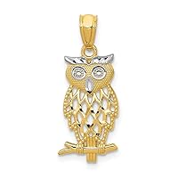 14k Yellow Gold Textured Polished With Rhodium Owl Pendant Necklace Measures 24.1x9.9mm Jewelry for Women