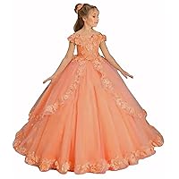 Flower Girls Tulle Princess Pageant Dress for Wedding Off Shoulder Applique Floor Length Prom Ball Gowns