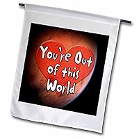 3dRose Edge of Night Design – Romance - Image of Words Youre Out Of This World - Flags (fl_355132_1)