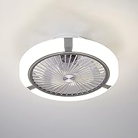 Ceiling Fans with Lights and Remote Ceiling Fan with Led Light Ceiling Fan Lighting Bedroom Fan Light Ceiling Ceiling Fan with Lighting Led 3 Speeds Modern/Gray