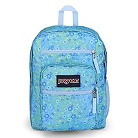 JanSport Laptop Backpack - Computer Bag with 2 Compartments, Ergonomic Shoulder Straps, 15” Laptop Sleeve, Haul Handle - Book Rucksack - Baby Blossom Blue