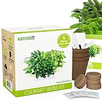 Indoor DIY Herb Garden Kit: Grow 4 Non-GMO Herb Plants in Your Kitchen - Complete Seed Herbs Gardening Set - Unique Gift for Women & Men - Balcony & Window Sill Growing Kit - Perfect for Cooking Lover