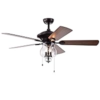 Warehouse of Tiffany CFL-8348BL Topher 52-Inch 5-Blade Antique Bronze Lighted Clear Glass Shade Ceiling Fan, Brown