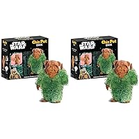 Chia Pet Star Wars Ewok with Seed Pack, Decorative Pottery Planter, Easy to Do and Fun to Grow, Novelty Gift, Perfect for Any Occasion (Pack of 2)