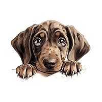 Vinyl Wall Quotes Stickers Peeking Plott Hound DIY Lettering Wall Stickers Home Wall Decor Colorful Dog Animal Art Wall Decals for Classroom Car Suitcase Furniture 28in