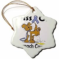 3dRose Piss On Stomach Cancer Awareness Ribbon Cause Design - Ornaments (orn-115941-1)