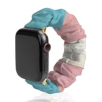 Vintage Transgender Flag Watch Band Compitable with Apple Watch Elastic Strap Sport Wristbands for Women Men