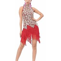 Pilot-Trade Women's Evening Cocktail Party Club Latin Dance Fringes Necklace Dress