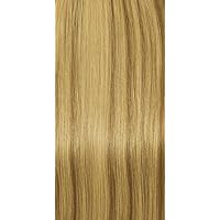Gold Collection 100% Human Hair Extensions 14