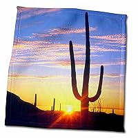 3dRose Danita Delimont - Cactus - USA, Arizona, A Saguaro Cactus at Sunset. - Towels (twl-208780-3)