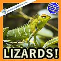 Lizards!: A My Incredible World Picture Book for Children (My Incredible World: Nature and Animal Picture Books for Children)