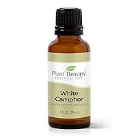 Plant Therapy White Camphor Essential Oil 30 mL (1 oz) 100% Pure, Undiluted, Therapeutic Grade
