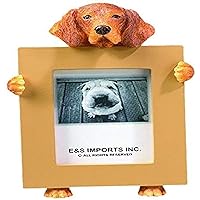 Vizsla Picture Frame Holds Your Favorite 2.5 by 3.5 Inch Photo, Hand Painted Realistic Looking Vizsla Stands 6 Inches Tall Holding Beautifully Crafted Frame, Unique and Special Vizsla Gifts for Vizsla Owners
