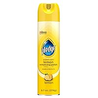 Expert Care Wood Polish Spray, Shines and Protects, Removes Fingerprints, Lemon, 9.7 oz (Pack of 1)