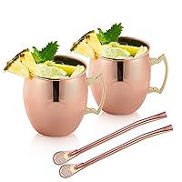 CHUNCIN - Moscow Mule Copper Mugs Set, 18 Oz Copper Cup Beer Bottle for Cocktail, Wine, Beer, Cold Drink, Home, Bar, Party, Gifts for Cocktail, Wine, Beer, Cold Drink, Home, Bar, Party, Gifts,2pc