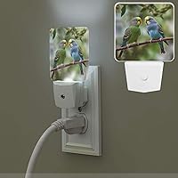 Blue and Green Parakeets Print Night Light with Light Sensors Plug in LED Lights Smart Nightstand Lamp Plug in Night Light for Bedroom Bathroom Hallway Home Decor