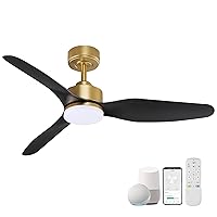 48 Inch Smart Ceiling Fans with LED Lights Remote,Quiet DC Motor,Dimmable,Outdoor Indoor Gold Black Ceiling Fan Controlled by WIFI Alexa App,for Modern Bedroom Living Room Patio Porch