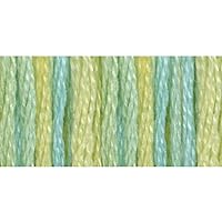 DMC 417F-4060 Color Variations Six Strand Embroidery Floss, 8.7-Yard, Weeping Willow