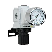 PneumaticPlus PPR2-N02BG-2 Miniature Air Pressure Regulator 1/4