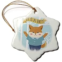 3dRose Baby Shower-Baby Boy Birthday-Blue Fox Animal Illustration for... - Ornaments (orn-269192-1)