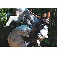 The Night's Watch Anais Mali - 18X24 Gloss Poster Rare TNW #PDI382066