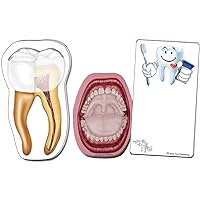 Dental Sticky Note Pads 3 Pack Including Mouth, Brush Your Teeth and Tooth antomy, for Dentist, Dental Hygienist, Dental Gifts and Education for Good Oral Health and for Dental Assistants