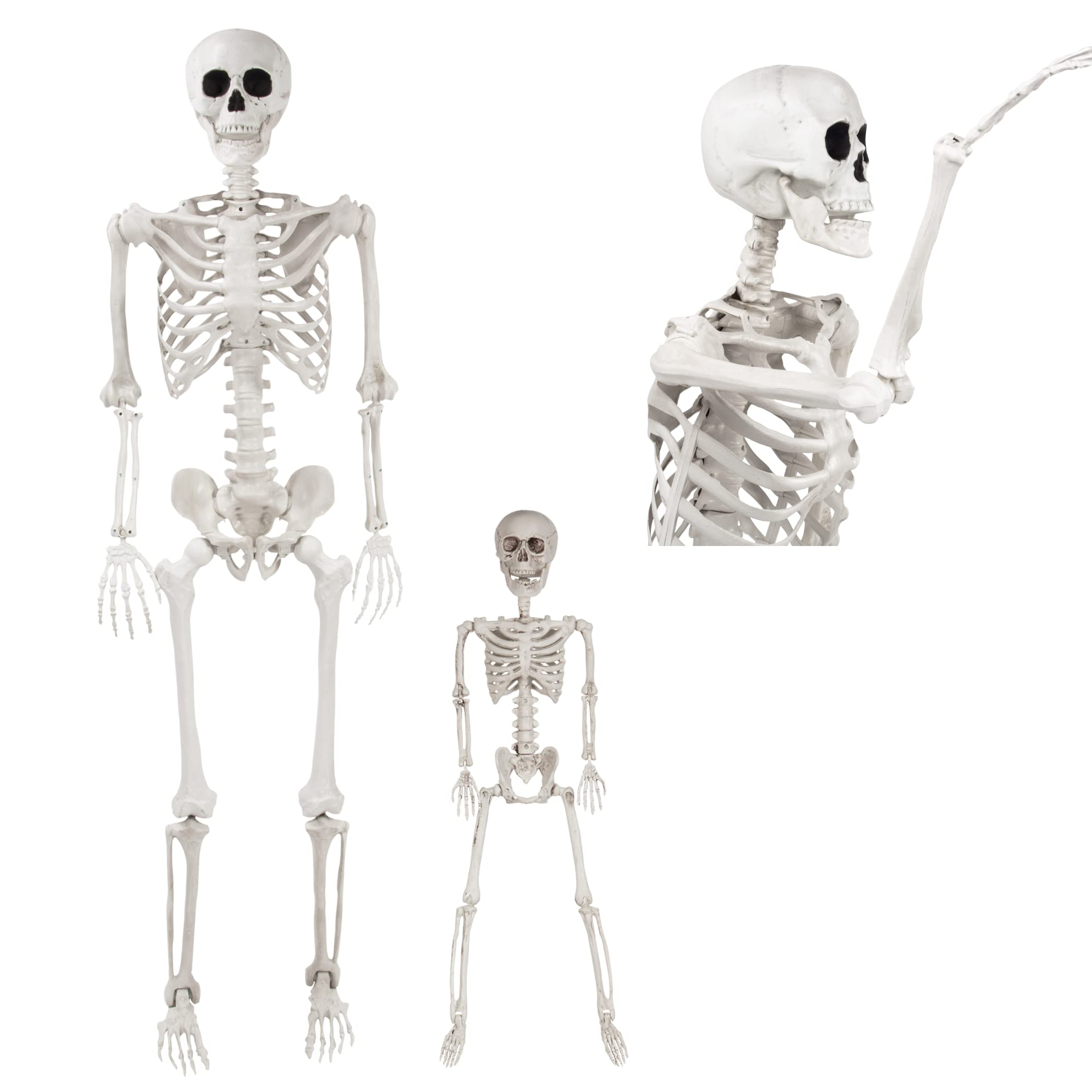 Posable Life Size Human Skeleton Family Set of 2 -Adult (5' 2