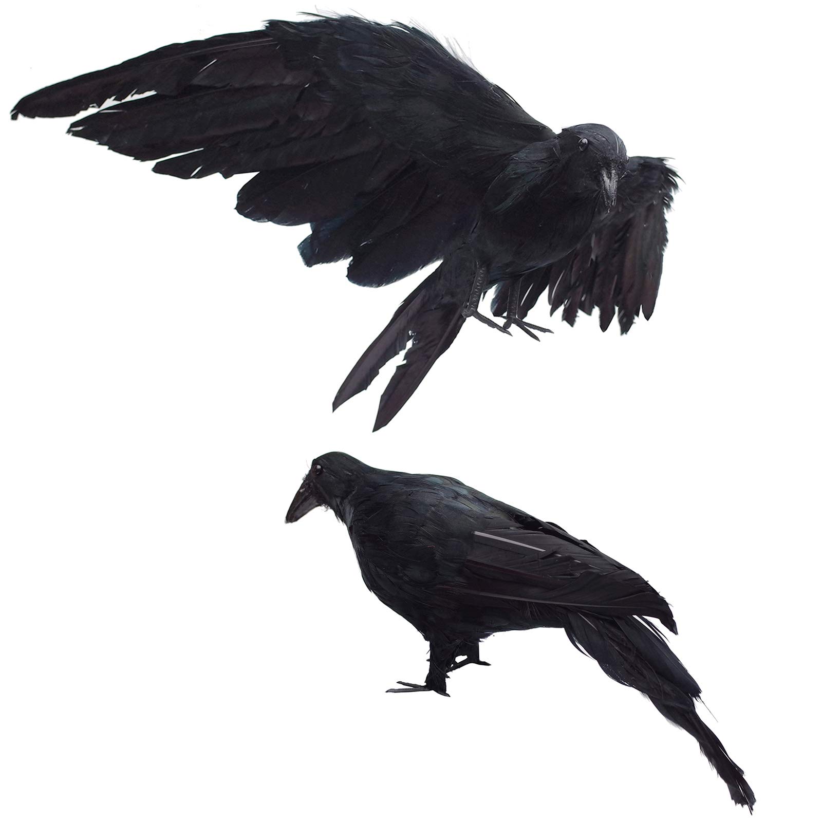 Top 99 crow halloween decor to bring some Edgar Allan Poe flair