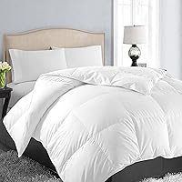 All Season King Size Soft Quilted Down Alternative Comforter Reversible Duvet Insert with Corner Tabs,Winter Summer Warm Fluffy,White,90x102 inches