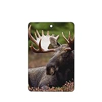 Moose 2-Piece Set Of Car Aromatherapy Tablets, Suitable For Car Interiors, Bedrooms, And Bathrooms Rectangle
