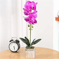 Artificial Real Touch Phalaenopsis Orchid Flowers Arrangement in Silver Ceramic Pot for Home Decor Centerpieces, Purple Red