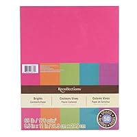 Recollections Cardstock Paper, Brights 8.5 X 11 (Value 2-pack)