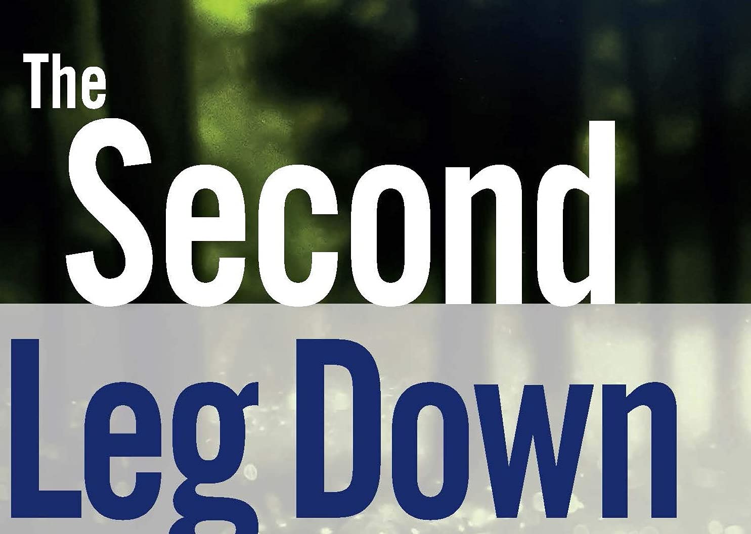 The Second Leg Down: Strategies for Profiting after a Market Sell-Off (The Wiley Finance Series)
