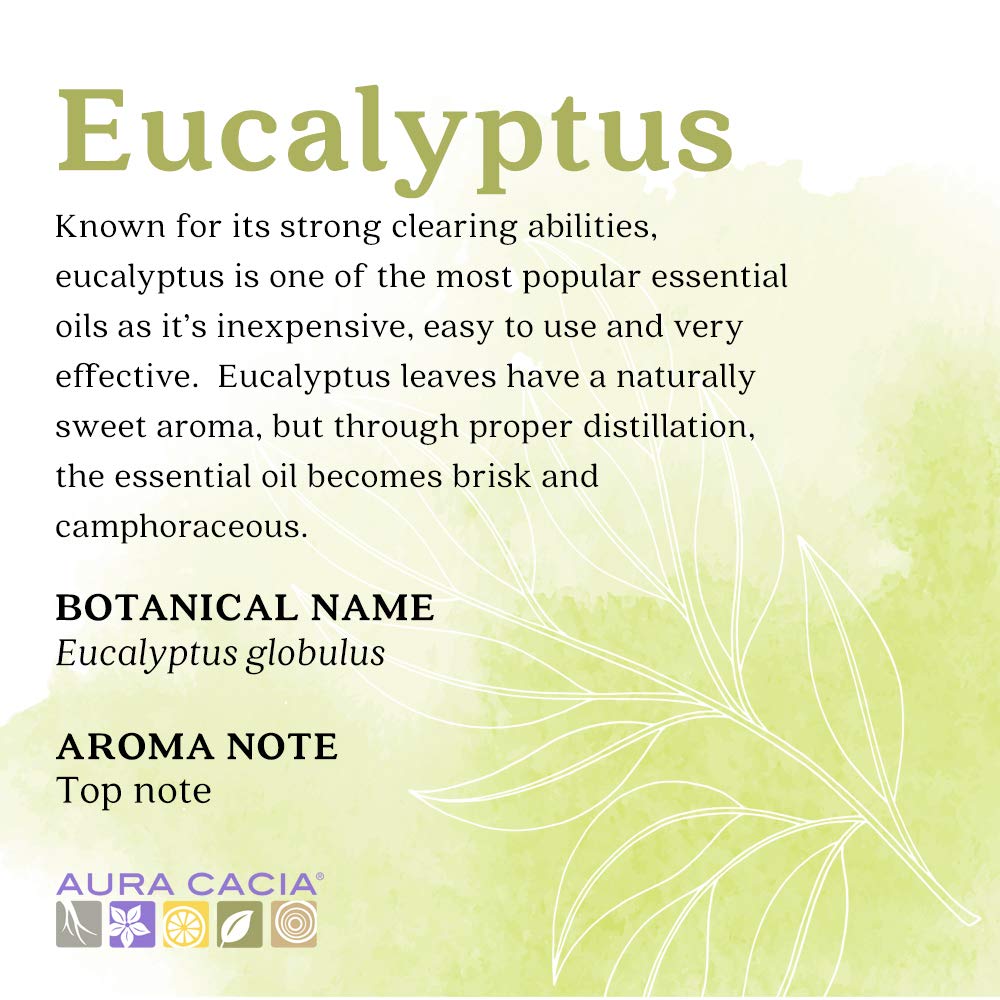Aura Cacia Eucalyptus Essential Oil, Boxed, 0.5 Ounce