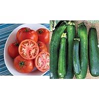 Burpee Early Pick VF Hybrid Red Beefsteak Tomato 50 Seeds & Black Beauty Zucchini Squash 100 Seeds