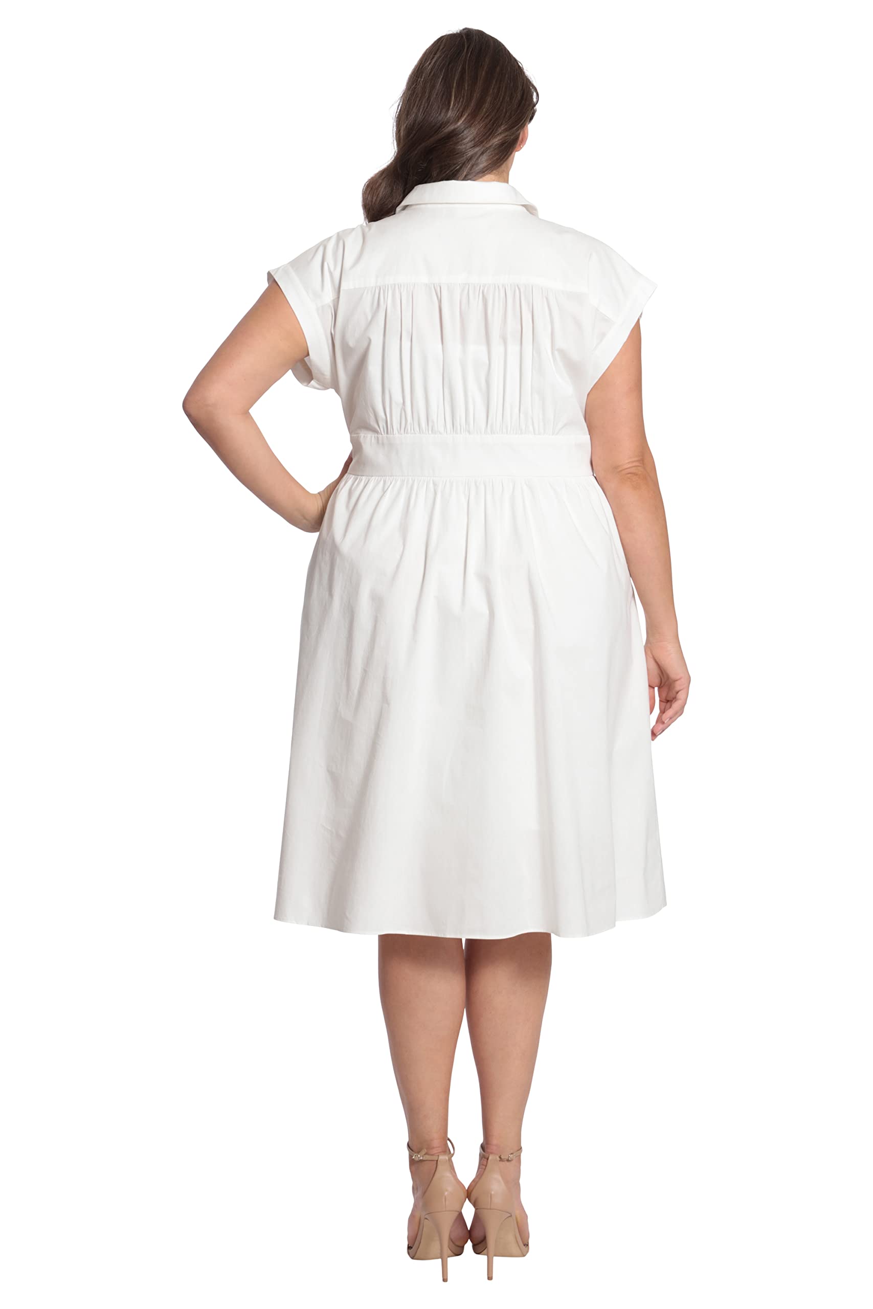 Maggy London Women's Cap Sleeve Collar Dress with Wide Waistband and Front Placket