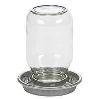 Glass Jar Chick Waterer Mason Jar Baby Chick Waterer, 1 Quart (Item No. MJ9826)