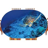 Turtle Oval Elastic Fitted Tablecloth, Oceanic Wildlife Themed Photo of Sea Turtle in Deep Blue Waters Coral Reef Hawaiian, for Kitchen Dinning Tabletop Decoration Outdoor Picnic, Fits 48