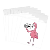 3dRose Greeting Cards - Cute Funny Colorful Pink Flamingo bird with Camera Photographer - 6 Pack - Sports and Hobbies