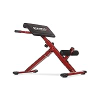 Stamina X Adjustable Ab, Back, and Core Strength Exercise, Sit-Up Fitness Hyperextension Weight Bench for At-Home Workouts