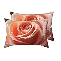 2 Pack Queen Size Pillow Cases with Envelope Closure Rose Flower Pink Pillow Cover 20x30 Inches Soft Breathable Pillowcase for Hair and Skin, Sleeping Gift
