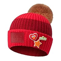 Love Your Melon Sesame Street Pom Beanie with Charms, Winter Hats for Men & Women, Unisex Beanie, Warm Thick Skully