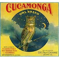 Cucamonga San Bernardino County California Owl Brand Orange Citrus Fruit Crate Box Label Art Print