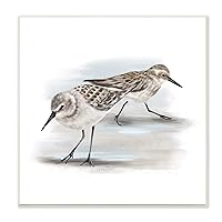 Stupell Industries Sandpiper Pair on Sandy Beach Small Nautical Birds, Designed by Studio Q Wall Plaque, 12 x 12, Grey