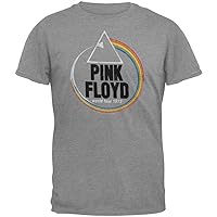 Old Glory Pink Floyd - Mens World Tour 1973 Soft T-Shirt Medium Grey