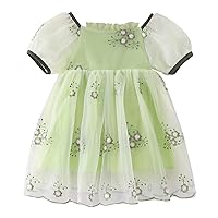 Easter Shirts for Toddler Girls Toddler Girls Short Sleeve Bowknot Floral Embroidery Tulle Ruffles for Baby Girl