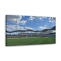 Spring Training Ballpark Wrapped Canvas 20